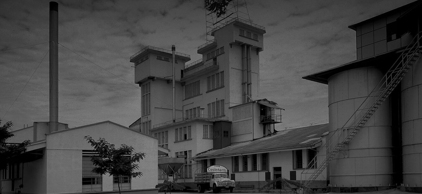 1944