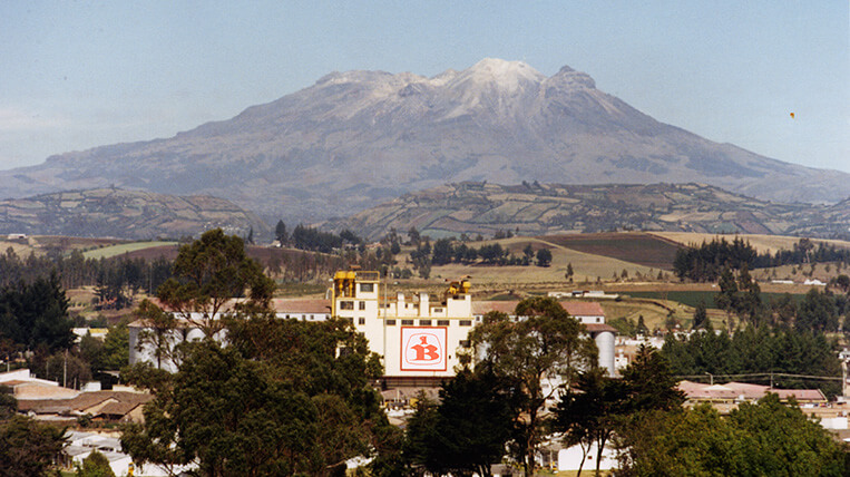 Malterías de Colombia S. A