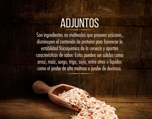 adjuntos