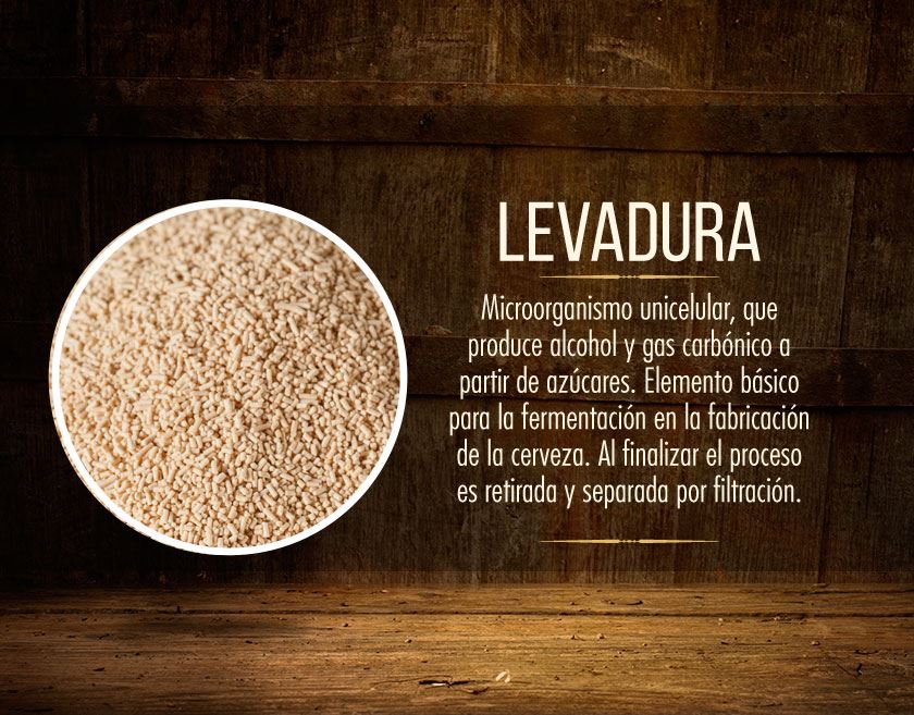 levadura